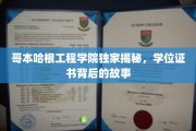 哥本哈根工程学子独家解密，学位证书背后的非凡旅程