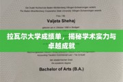 拉瓦尔大学成绩单，探秘学术巅峰与卓越风采