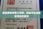都柏林理工学院揭秘，成绩单背后的学海航程
