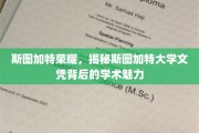 解码斯图加特大学，探寻文凭背后的学术璀璨之光