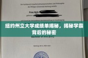 解码纽约州立大学学霸养成记