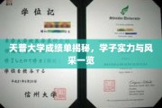 天普学子风采大揭，成绩单背后的实力与荣耀瞬间