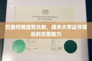 解码巴登符腾堡双元制，技术大学证书的双重吸引力