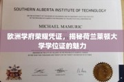 欧洲学府荣耀凭证，揭秘荷兰莱顿大学学位证的魅力