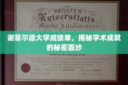 解码谢菲尔德大学卓越背后的成绩单密码