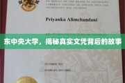 东中央大学文凭之谜，探寻真实学历背后的传奇故事
