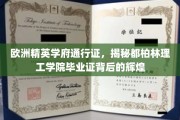 解锁都柏林理工学院，欧洲精英学府的荣耀通行证