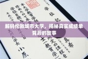 伦敦城市大学成绩单之谜，揭开学术成就背后的传奇故事