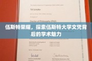 解码伍斯特大学，文凭背后的学术之光