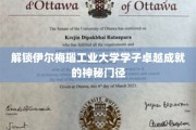 探寻伊尔梅瑙工业大学学子非凡成就的神秘钥匙