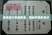 杨百翰学霸养成记，揭秘顶尖学府的秘密成绩单