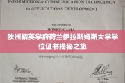 解码荷兰伊拉斯姆斯大学，精英学位背后的非凡旅程