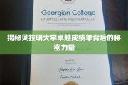 解码贝拉明大学卓越成就背后的神秘动力