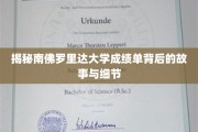 解码南佛罗里达大学成绩单，隐藏的真相与细腻洞察