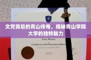 文凭背后的秘境，探秘青山学院大学的非凡风采