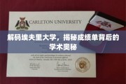 探寻埃夫里大学成绩单，解码学术成就的神秘面纱