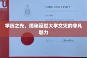 延世大学文凭背后的璀璨光环，一探究竟的学术传奇