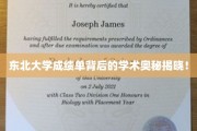 解码东北大学成绩单，探寻学术成就的秘密之门