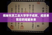 东京工业大学精英风采，揭秘年轻才俊的辉煌成就与璀璨前程