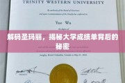 探寻圣玛丽大学成绩单的神秘面纱
