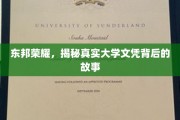 东邦学府传奇，揭开文凭背后的不凡篇章