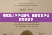解码布莱顿大学文凭，探寻学位背后的传奇故事