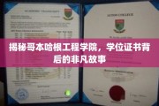 哥本哈根工程学院，学位证书背后的传奇之旅