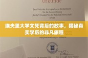 埃夫里大学文凭背后的传奇，一场学历探寻的非凡之旅