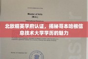 解锁北欧精英教育，哥本哈根信息技术大学学历的独特魅力