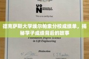德克萨斯大学埃尔帕索分校成绩单，揭秘学子成绩背后的故事