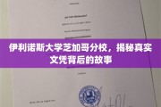 芝加哥分校文凭背后，伊利诺斯大学的秘密面纱