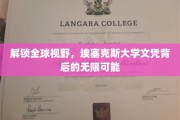 跨越国界，埃塞克斯大学学位开启无限国际机遇之旅
