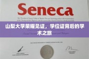 山梨大学荣耀足迹，一纸学位证背后的学术探险之旅