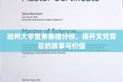 解码加州里弗赛德，文凭背后的大学传奇与真实价值