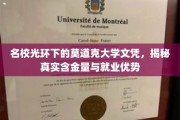 揭开莫道克大学名校光环，探究文凭价值与职场竞争力
