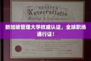 新加坡管理大学认证，解锁全球职场新格局的黄金钥匙