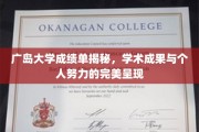 广岛大学成绩单背后的秘密，学术成就与个人奋斗的交相辉映