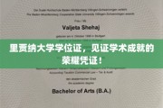 学术荣耀里程碑，里贾纳大学学位证，成就非凡的证明篇章