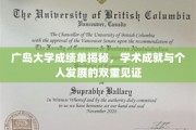 广岛大学成绩单，窥见学子学术成就与成长轨迹