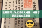 解锁埃塞克斯学霸秘籍，成绩单背后的惊人真相！