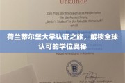 探索荷兰蒂尔堡大学，揭秘国际学位的卓越之路