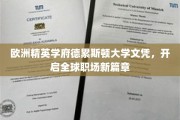 德累斯顿大学文凭，解锁国际职场精英之路