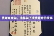 费斯克大学学霸养成记，揭秘学子成绩背后的精彩历程