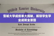 雪城大学成绩单背后的学业奥秘，全景式解析学生成就之路