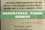 学历光环下的阴影，揭秘伪造贝拉明大学文凭的灰色产业链