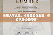 揭开鲁顿大学文凭真相，探究学历的真实价值与未来前景