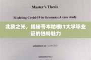 探索哥本哈根IT大学，北欧精英教育的璀璨明珠