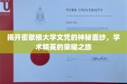 探索密歇根大学文凭背后的传奇故事，精英学子荣耀之路全解析