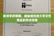 维也纳大学，探寻欧洲名校荣耀与学术传奇的神秘面纱
