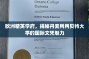 探索丹麦利利贝特大学，欧洲精英学府的国际文凭吸引力揭秘